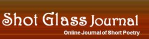 Shot glass Journal