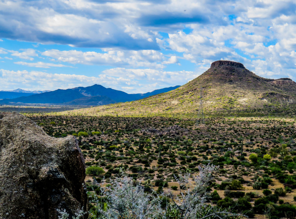 Desert and mountains, near Scottsdale, AZ. Photo: T. M. Adair.